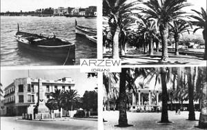 ARZEW 291